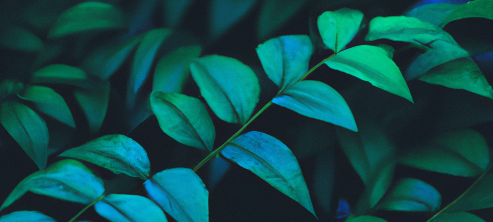 Ljetna sezona bez otpada od hrane: Kako Zelene tehnologije mijenjaju turizam i čuvaju okoliš!